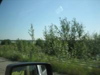 IMG_0548 