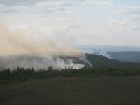 IMG_0735 