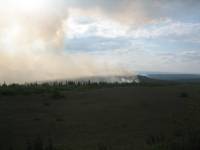 IMG_0736 