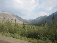 IMG_0755 