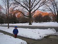 Stroll