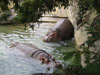  Philly Zoo