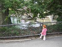  Philly Zoo