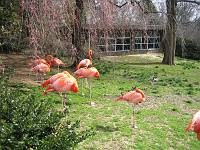  Philly Zoo
