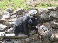  Philly Zoo
