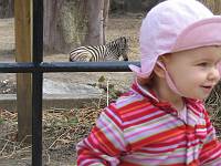  Philly Zoo