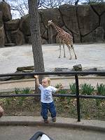  Philly Zoo