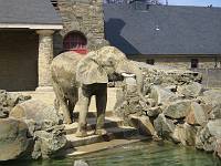  Philly Zoo