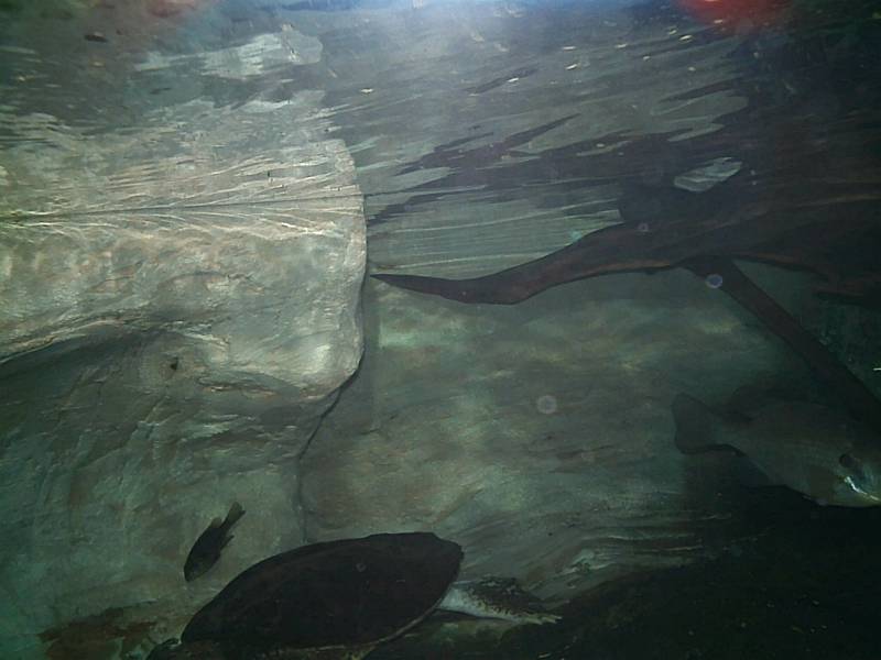 PICT0011