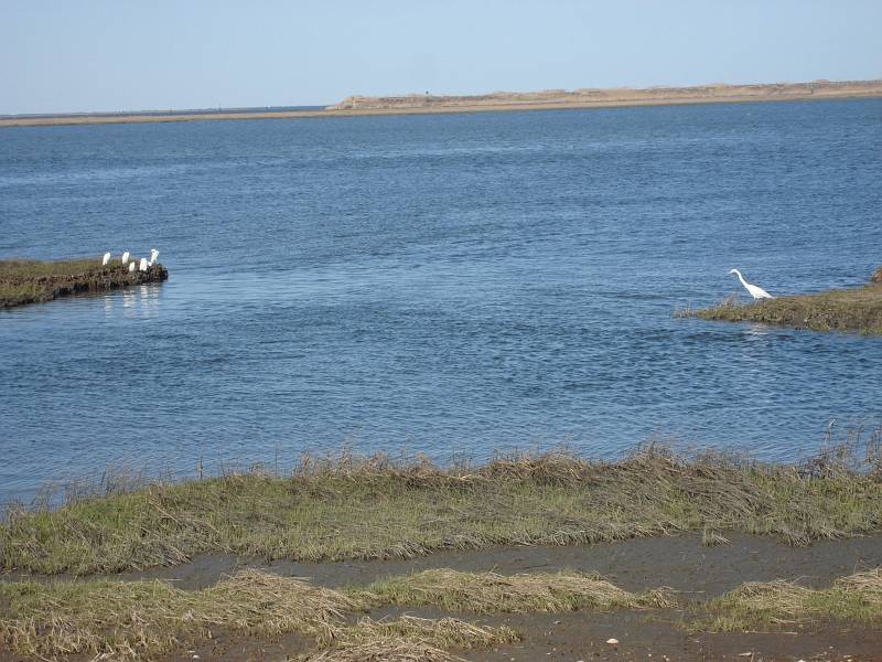 DSC01846