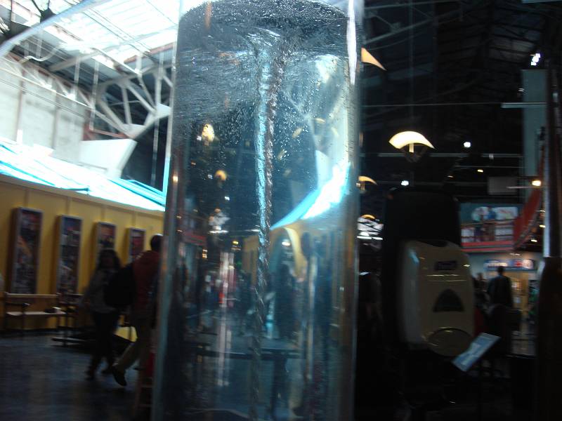 DSC01909