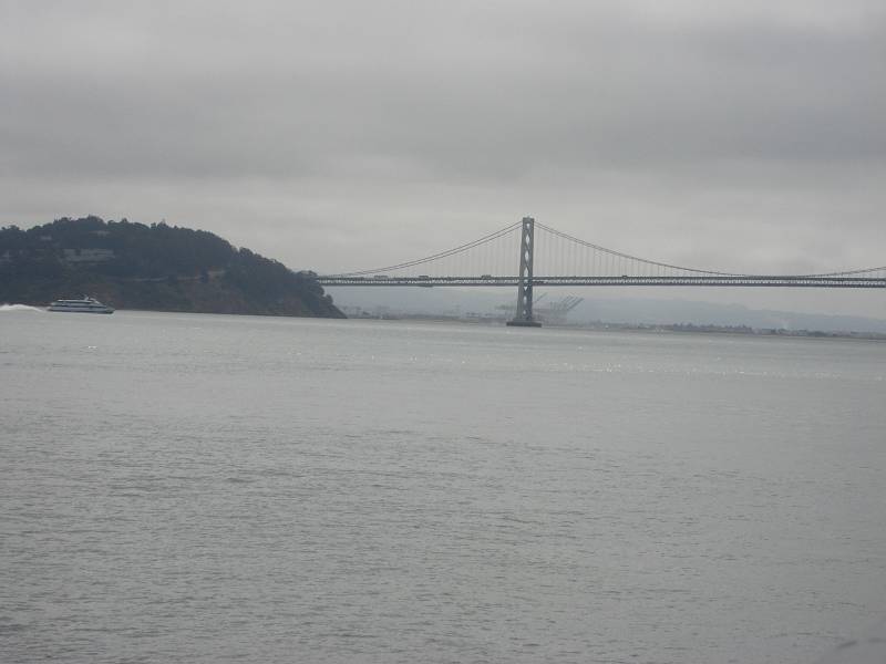DSC01981