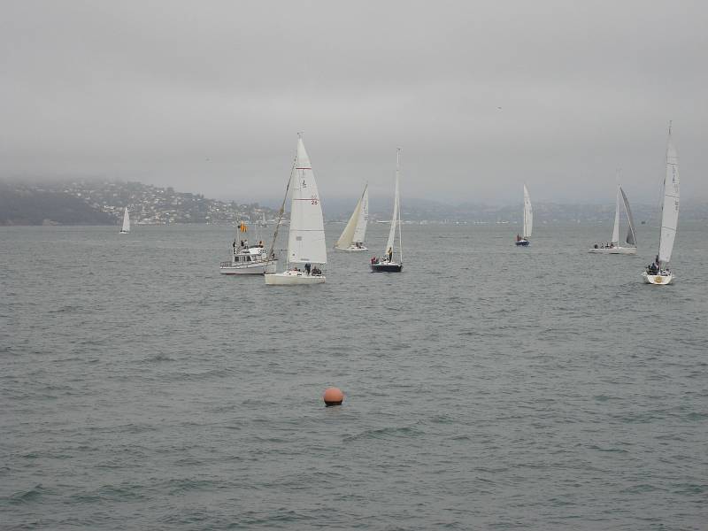 DSC01993