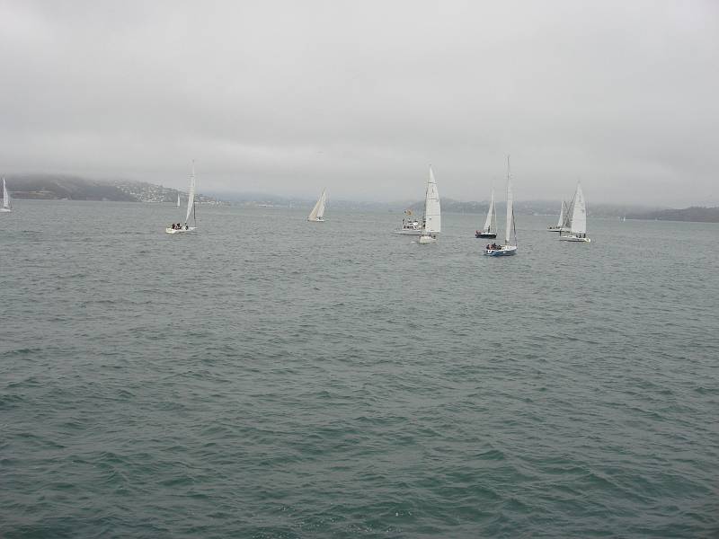 DSC01994