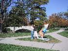 101-0118 IMG