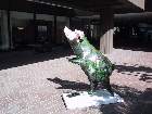101-0126 IMG