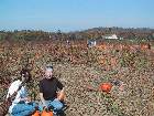 101-0152 IMG - 101-0185 IMG