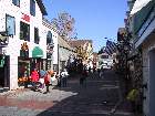 101-0177 IMG