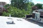010607 Range Hood & Bathroom Extraction Fan Rough-ins