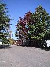 101-0116 IMG
