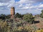 100-0057 IMG