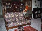 100-0005 IMG
