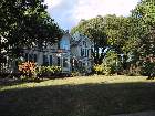 100-0018 IMG