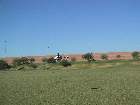 100-0007 IMG