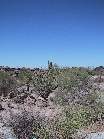 100-0014 IMG