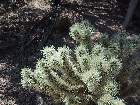 100-0017 IMG