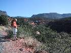 100-0046 IMG
