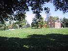 100-0019 IMG