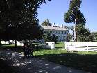 100-0020 IMG