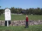 100-0022 IMG