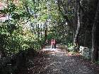 100-0075 IMG