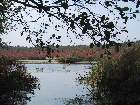 100-0076 IMG