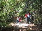 100-0084 IMG