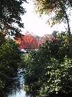 100-0085 IMG