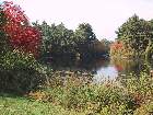 100-0086 IMG