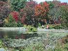 100-0087 IMG