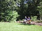 100-0030 IMG