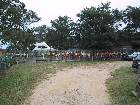 100-0060 IMG