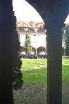 DCP 0428