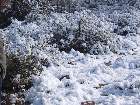 102-0289 IMG