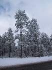 102-0293 IMG