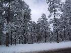 102-0295 IMG