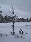 102-0296 IMG