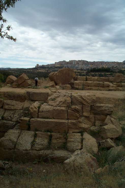 DCP 3659